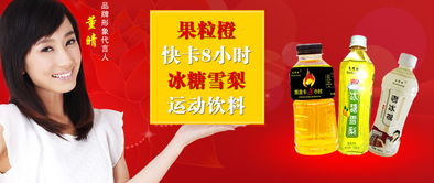 王先生代理意向 石家庄市三得利食品饮料厂邯郸市场拓展合作展望