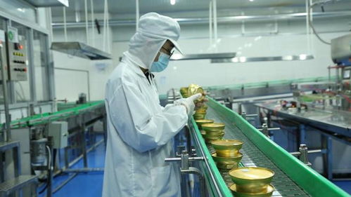 轻创业避坑指南 燕窝粥代理加盟，广告设计背后品牌选择是关键